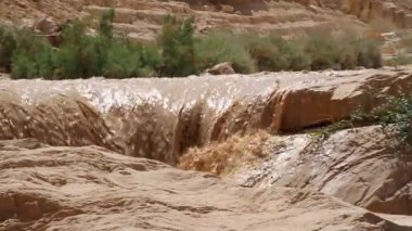 Ani sel içinde çöl Nahal Zin Negev doğal görünümünü