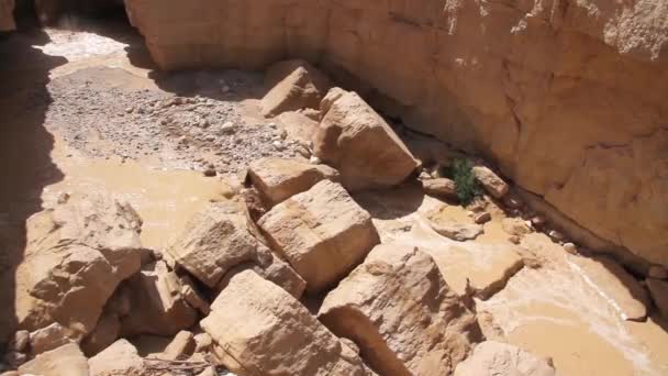 Vacker Utsikt Över Flodvåg Öknen Nahal Zin Negev — Stockvideo