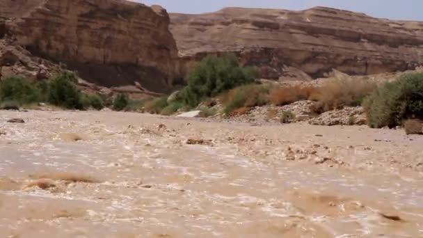 フラッシュの洪水で砂漠のナハール迅ネゲブの風光明媚なビュー — ストック動画