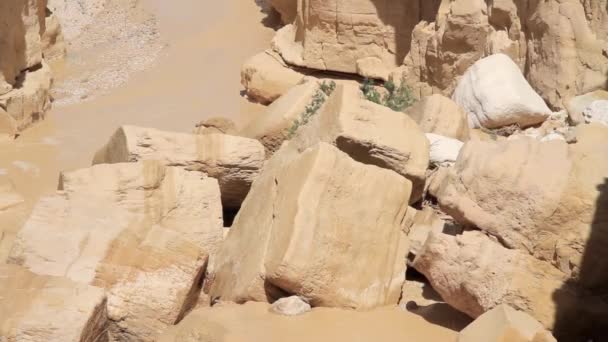 Vista Panorámica Inundación Repentina Desierto Nahal Zin Negev — Vídeos de Stock