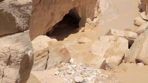 Vacker Utsikt Över Flodvåg Öknen Nahal Zin Negev — Stockvideo