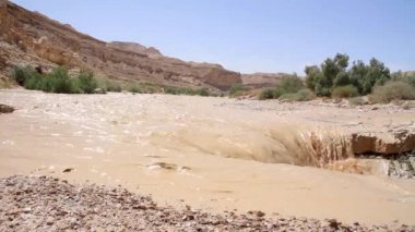 Ani sel içinde çöl Nahal Zin Negev doğal görünümünü