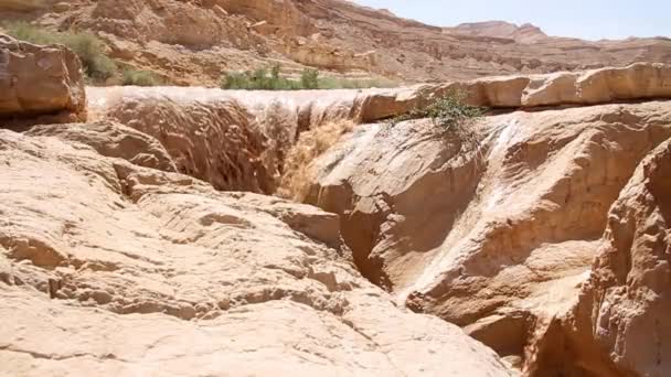 Schilderachtig Uitzicht Van Flits Overstroming Woestijn Van Nahal Zin Negev — Stockvideo