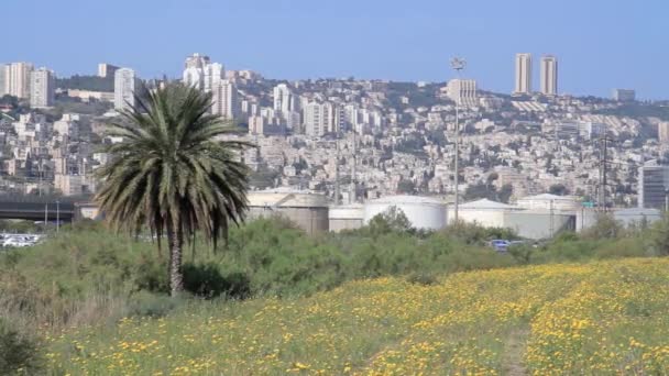 Panoramiczny Widok Miasta Hajfa Świetle Dziennym Izrael — Wideo stockowe