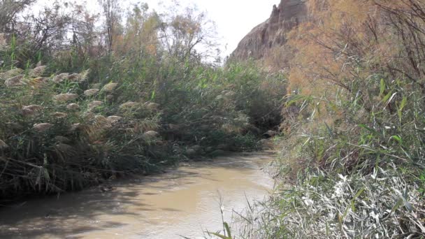 Close View Water Flows Jordan River Israel — Stock Video