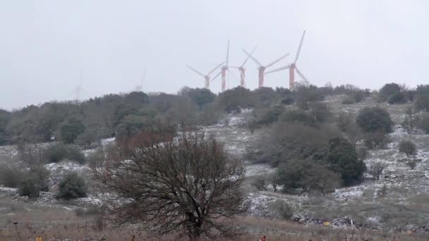 Reihe Von Windmühlen Verschneiten Tagen Israel — Stockvideo