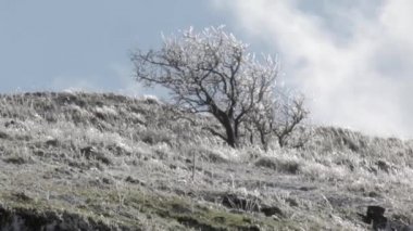 Kar içinde Avital Golan Tepeleri ile kaplı tepelerin görünümünü