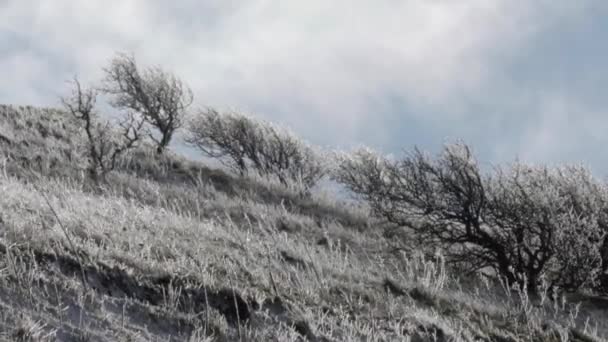 Vista Colinas Cubiertas Nieve Avital Golan Heights — Vídeos de Stock