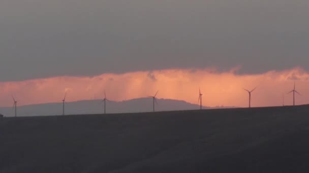 Rij Van Windmolens Silhouetten Bij Zonsondergang Israël — Stockvideo