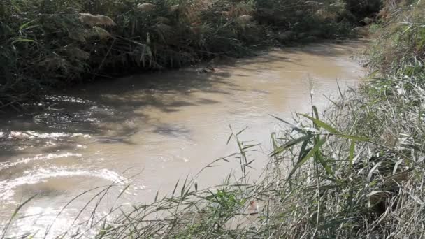 Vista Próxima Dos Fluxos Água Rio Jordão Israel — Vídeo de Stock