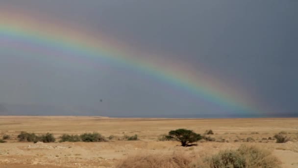 乾燥した砂漠 イスラエルで雨の後に虹の風光明媚なビュー — ストック動画