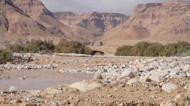 Scenic View Flash Flood Negev Desert Israel — Stock Video
