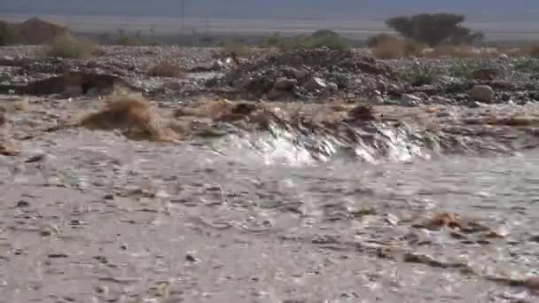 Мальовничим Видом Повені Мертве Море Юдейські Пустелі — стокове відео