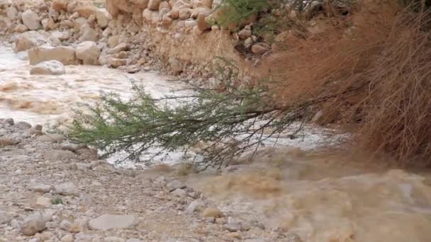 Scenic View Flash Flood Dead Sea Judean Desert — Stock Video