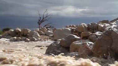 Ani sel Lut ve Judean Desert doğal görünümünü
