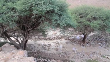 Ani sel Lut ve Judean Desert doğal görünümünü