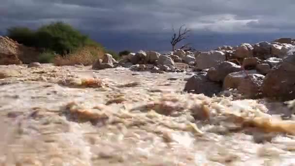 Vista Panorámica Las Inundaciones Repentinas Mar Muerto Desierto Judea — Vídeo de stock
