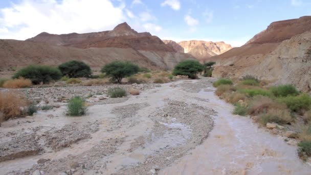 Vista Panorámica Las Inundaciones Repentinas Mar Muerto Desierto Judea — Vídeos de Stock