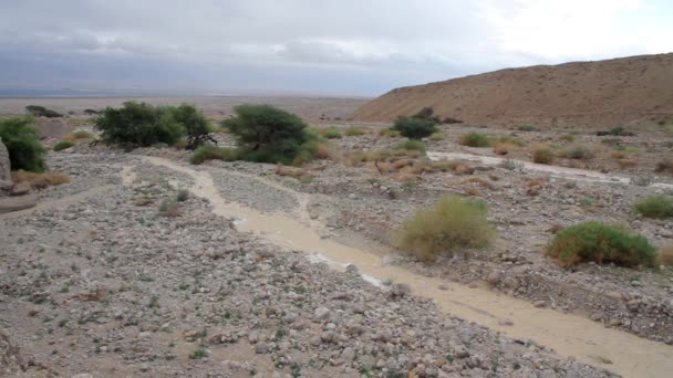 Γραφική Θέα Στιγμιαία Πλημμύρα Στην Έρημο Negev Του Ισραήλ — Αρχείο Βίντεο
