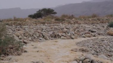 Ani sel Negev Çölü, İsrail'in doğal görünümü