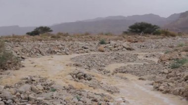 Ani sel Negev Çölü, İsrail'in doğal görünümü