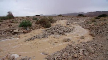 Ani sel Negev Çölü, İsrail'in doğal görünümü