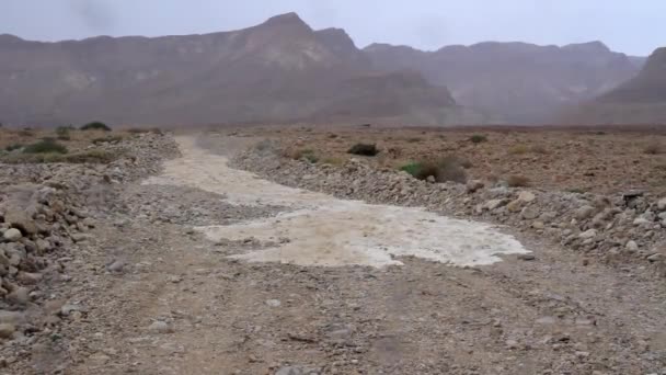 Scenic View Flash Flood Dead Sea Judean Desert — Stock Video