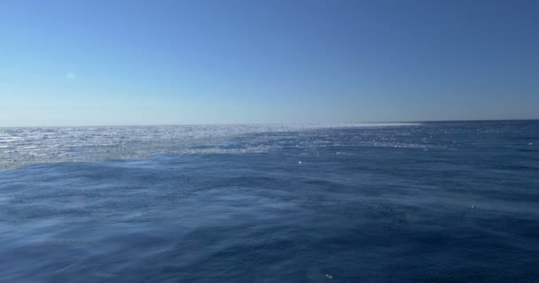 冷たい海の水に浮かんでいる溶かされた氷河の美しい景色 — ストック動画