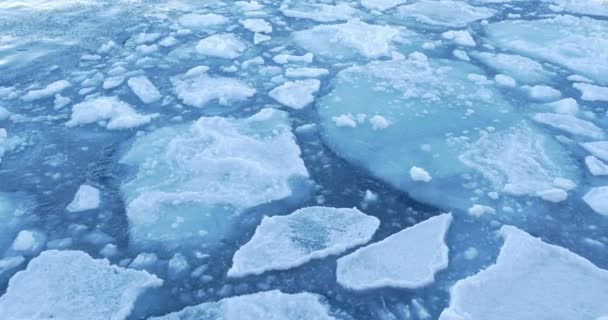 Близкий Обзор Талых Ледников Плавающих Холодной Океанской Воде — стоковое видео