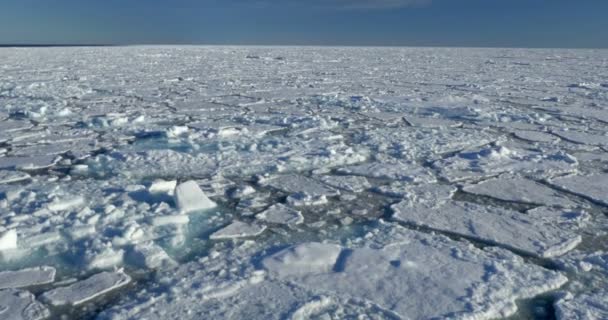 Schilderachtig Uitzicht Van Gesmolten Gletsjer Drijvend Koud Zeewater — Stockvideo