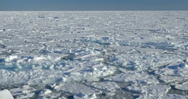 Vista Panorâmica Glaciar Derretido Flutuando Água Fria Oceano — Vídeo de Stock