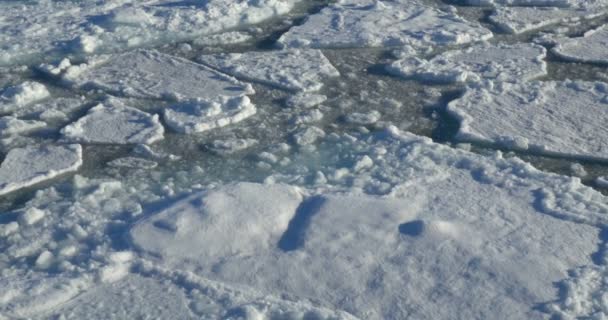 Vue Rapprochée Glacier Fondu Flottant Dans Eau Froide Océan — Video