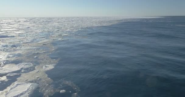 Malebný Pohled Rozpuštěné Ledovce Plovoucí Vodě Studený Oceán — Stock video