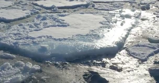 Zavřít Pohled Rozpuštěné Ledovce Plovoucí Vodě Studený Oceán — Stock video