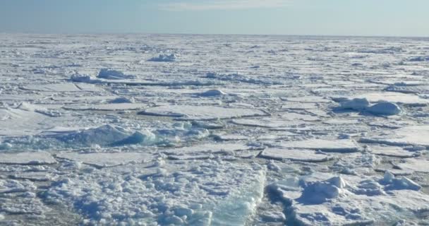 Vista Panorámica Del Glaciar Derretido Flotando Agua Fría Del Océano — Vídeo de stock