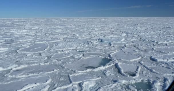 冷海水中漂浮冰川的景观观 — 图库视频影像