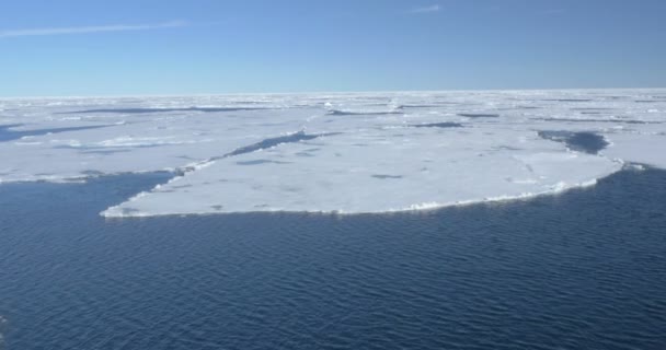 冷たい海の水に浮かんでいる溶かされた氷河の美しい景色 — ストック動画