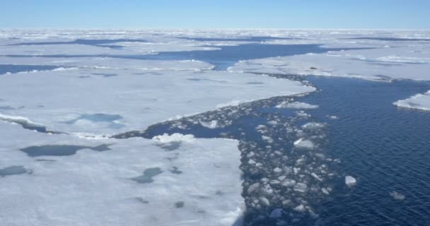 Vista Panorámica Del Glaciar Derretido Flotando Agua Fría Del Océano — Vídeos de Stock