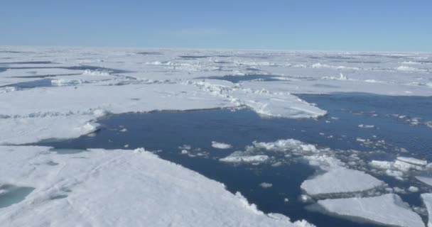 Γραφική Θέα Του Παγετώνα Λιωμένο Που Επιπλέει Στο Κρύο Ωκεανό — Αρχείο Βίντεο