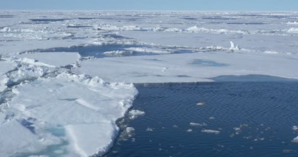 冷海水中漂浮冰川的景观观 — 图库视频影像