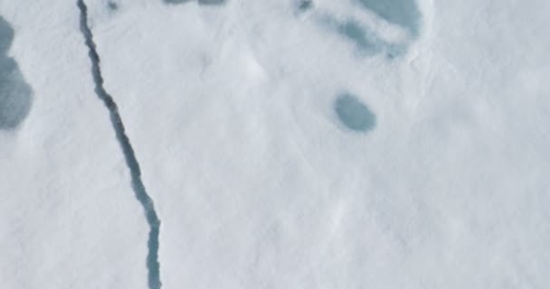 Близкий Обзор Талых Ледников Плавающих Холодной Океанской Воде — стоковое видео