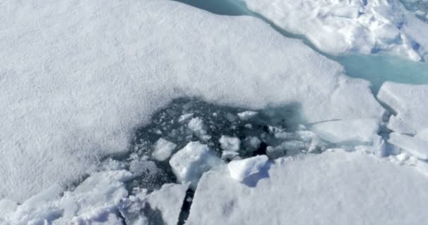 冷たい海の水に浮かんでいる溶かされた氷河のビューを閉じる — ストック動画