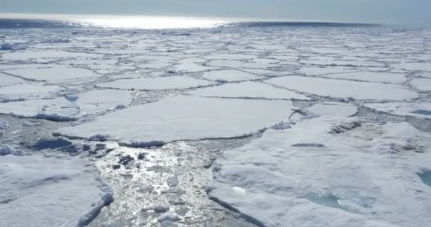 Vacker Utsikt Över Smält Glaciären Flytande Kallt Havsvatten — Stockvideo