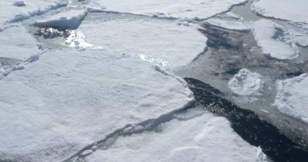 冰冷海水中漂浮的冰川的近观 — 图库视频影像
