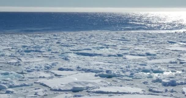 冷たい海の水に浮かんでいる溶かされた氷河の美しい景色 — ストック動画