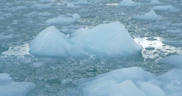 湖に浮かぶ大きな青い氷山のビューを閉じるし 氷の部分 — ストック動画