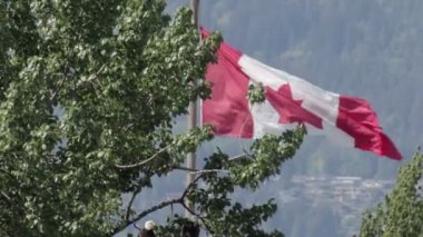 Güzel atış arkasında büyük ağaç Vancouver Kanada bayrağı sallayarak