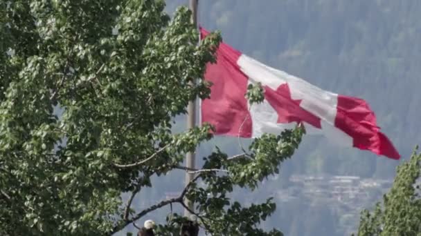 Schöne Aufnahme Der Flagge Von Kanada Die Hinter Einem Großen — Stockvideo