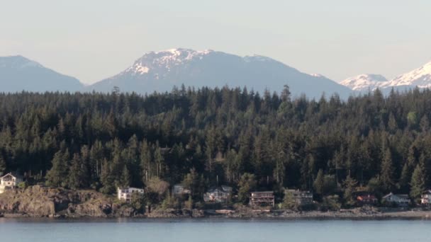 Beautiful Shot Vancouver Island Mountain Landscape — Stock Video