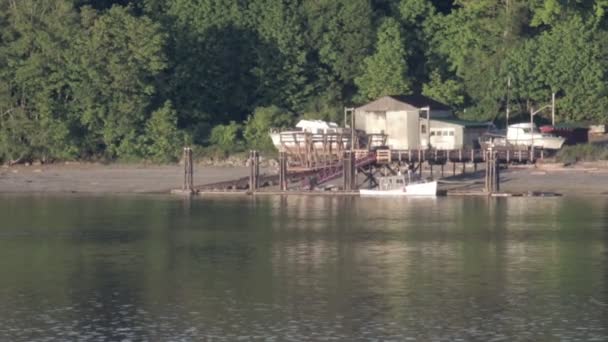 Hermoso Plano Del Paisaje Isla Vancouver — Vídeo de stock